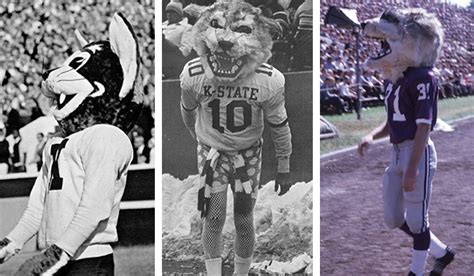 Top 5 reasons we think Willie the Wildcat is the best mascot | K-State ...