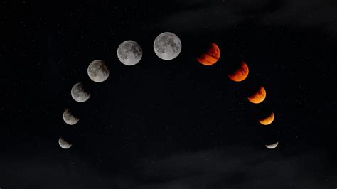 What Are The Differences Between Solar And Lunar Eclipses