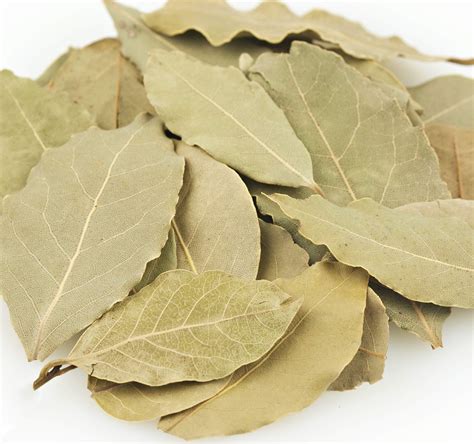 Buy bay leaf Online in UAE at Low Prices at desertcart