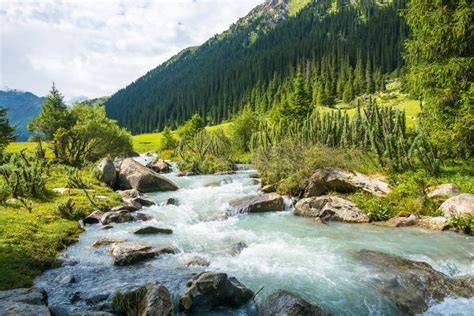 Mountain Landscape with a Turbulent River, Kyrgyzstan. Stock Image ...