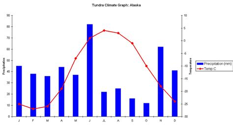 Tundra Rainfall