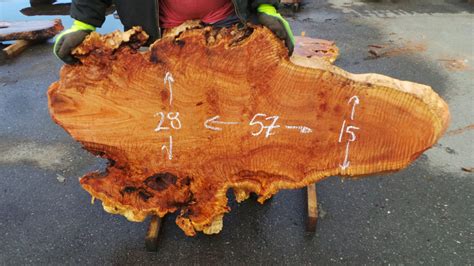 Salvaged Redwood Slabs - Redwood Burl Slabs 2 - Redwood Burl Inc.