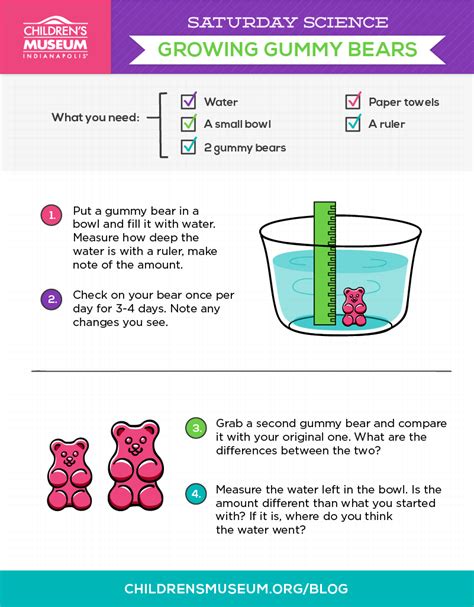 Saturday Science: Growing Gummy Bears | The Children's Museum of ...