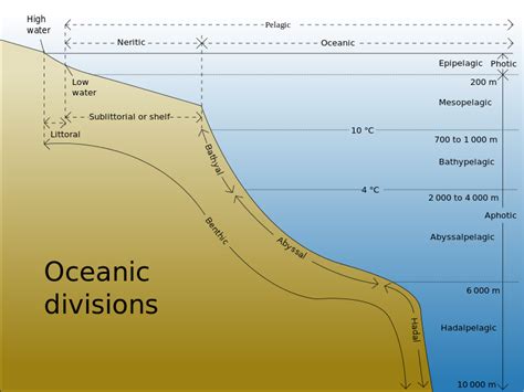 15.11: Zones of Marine Environments - Geosciences LibreTexts