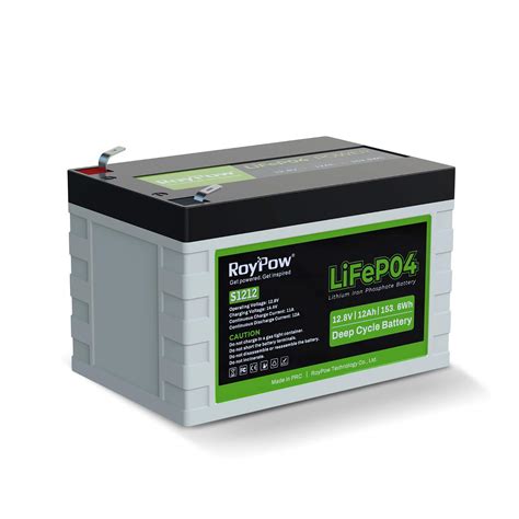 Buy RoyPow 12V 12Ah Deep Cycle LiFePO4 Battery, 3500~8000 Cycles ...