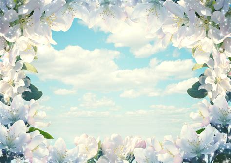 Frame Of Flowers Free Stock Photo - Public Domain Pictures