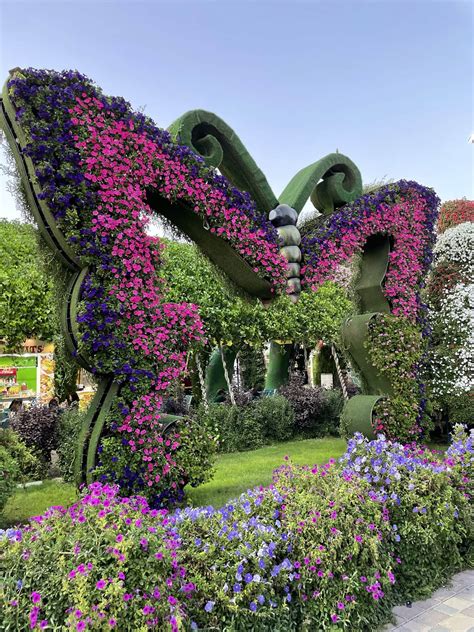 The Beautiful Dubai Miracle Garden - Big Guy Big World