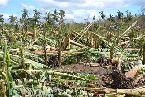 Experiencing Typhoon Bopha | HuffPost The World Post