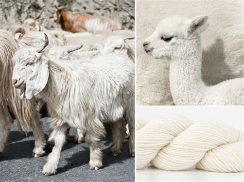 Animal Fiber-Based Yarns