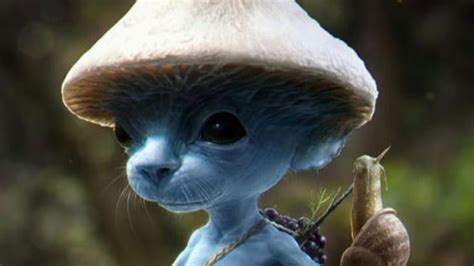 Petition · Smurf Cat Day! - United States · Change.org