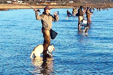 Fly fishing - Pyramid Lake style! - Fulling Mill Blog