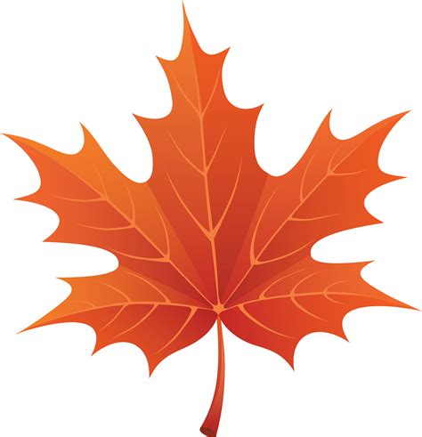 Fall Leaf Clipart No Background