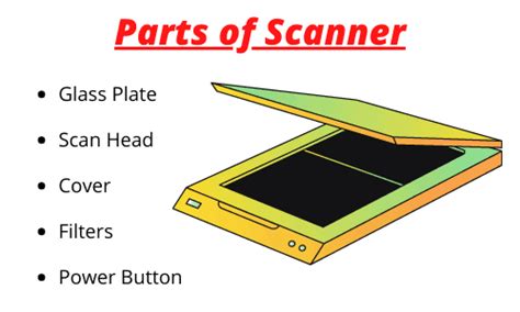 10 Parts of Scanner | Important Function of Scanner