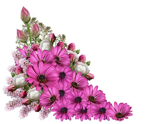 Download Flowers, Bouquet, Decoration. Royalty-Free Stock Illustration ...