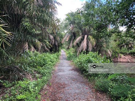 Bac Lieu Bird Sanctuary – Where to Watch Bird in Mekong Delta