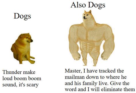 30 Of The Most Savage Yet Somewhat Accurate ‘Then Vs. Now’ Doge Memes ...