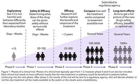 Phases Of Clinical Trials Chart