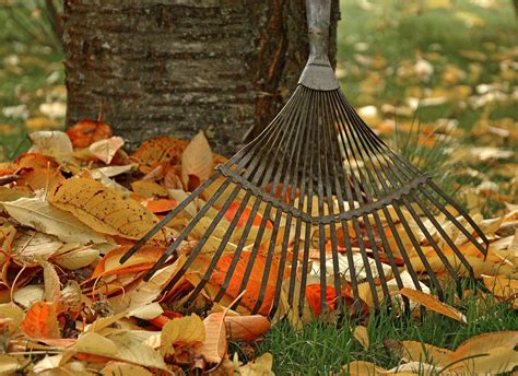 Your Fall Yard Work Checklist: 12 Essential Steps