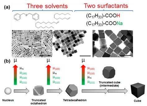 Applied Sciences | Free Full-Text | Fe3O4 Nanoparticles: Structures ...