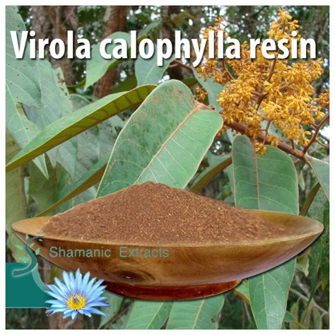 Virola calophylla resin