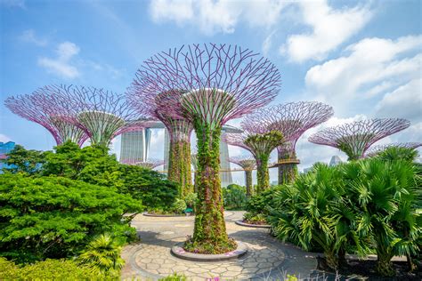 Best Nature Attractions in Singapore | Visit Southeast Asia