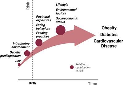 Frontiers | The metabolic conditioning of obesity: A review of the ...