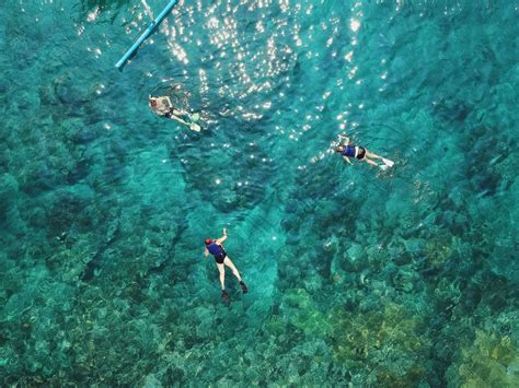 Snorkling - Waikiki Things To Do