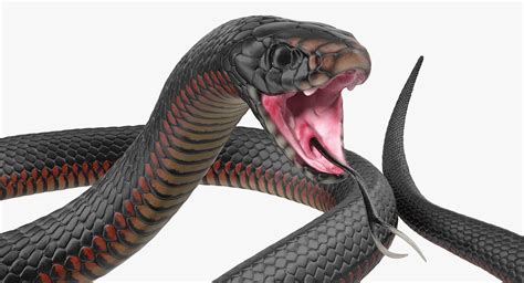 Snakes 3D Models Collection Rigged for Maya 3D Model $199 - .ma - Free3D