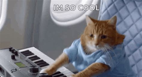 Cat Playing Piano Funny GIF - Cat Playing Piano Funny Meme - Discover ...