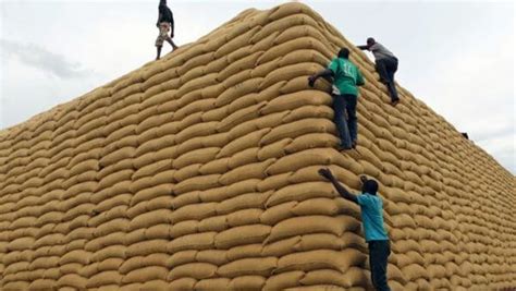 Tanzania food stocks hit record 244,160 tonnes in Q3, 2023 - The ...