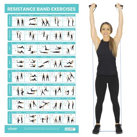 Buy Vive Resistance Band Workout - Laminated Bodyweight Hitt Exercise ...