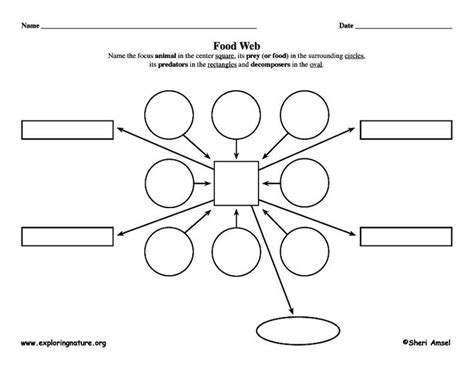 Blank Food Web Template (6) - TEMPLATES EXAMPLE | TEMPLATES EXAMPLE ...