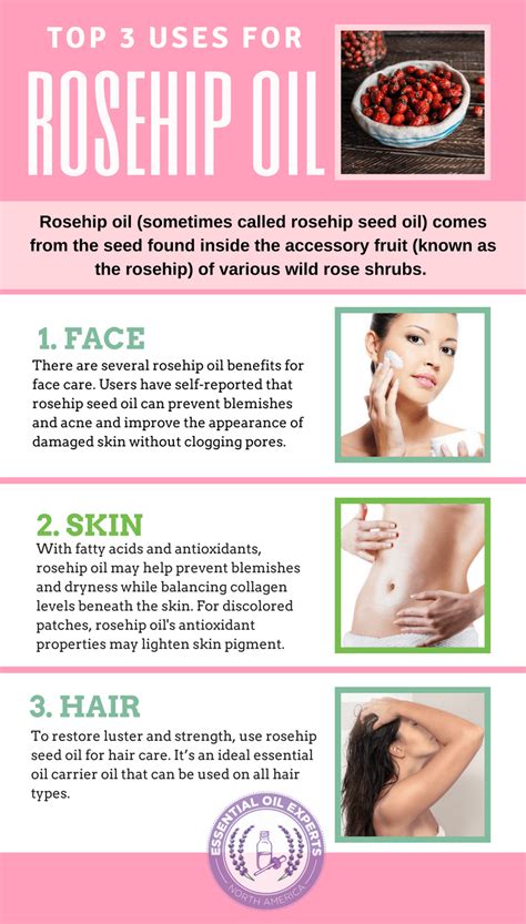 Rosehip Oil Benefits and Uses for Face, Skin, Hair & Where to Buy ...