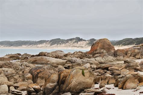 Cape Conran Coastal Park