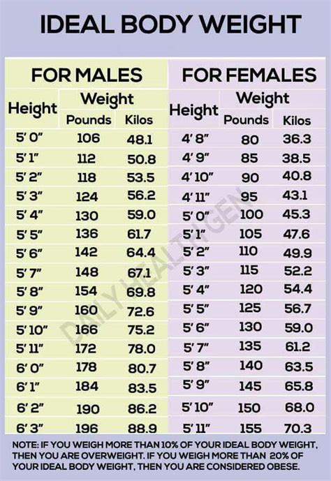 Body weight chart | Ideal body weight, Ideal body, Weight charts for women