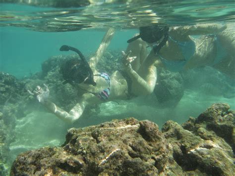 Hiking and Snorkeling on Oahu: Snorkeling in Hanauma Bay Nature Preserve