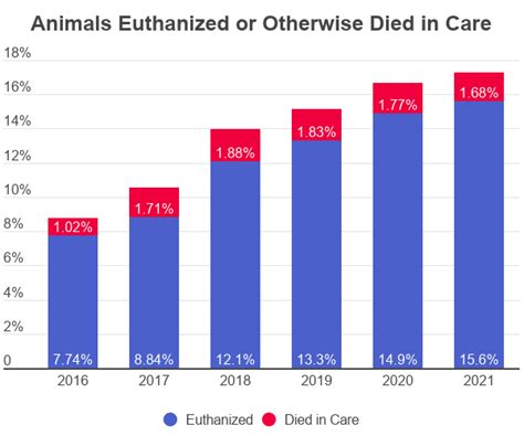 Animal Shelter Statistics [2022]: Facts & Data by Year