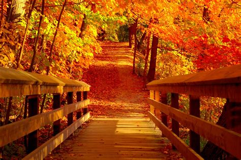 Golden Bridge | Riverwood Park, Mississauga, Canada This pho… | Flickr