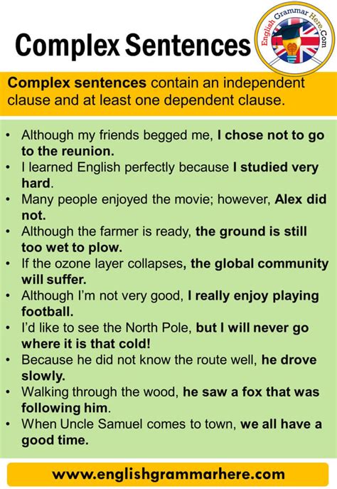 Complex Sentences, Definition and Examples - English Grammar Here ...