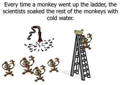 The 5 Monkeys Experiment: A Lesson in Conformity & the Power of ...