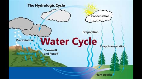 Water Cycle Condensation