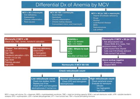 Normocytic Anemia Algorithm