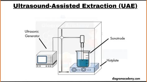 Ultrasound-Assisted Extraction (UAE) Diagram with Explanation