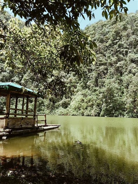 Telaga Warna Puncak is a Beautiful Lake with Its Green Color Nestled ...