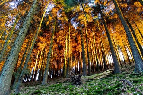 Macclesfield Forest - CPRE Cheshire