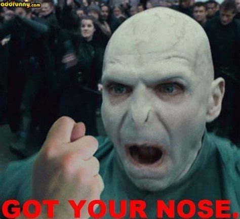 Voldemort Funnies! - Lord Voldemort Photo (27763147) - Fanpop