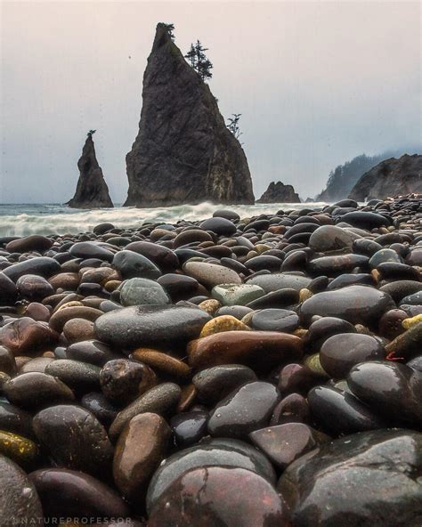 Sea Stacks and Rocks. Rialto Beach, Washington, USA. [OC][1070x1350 ...