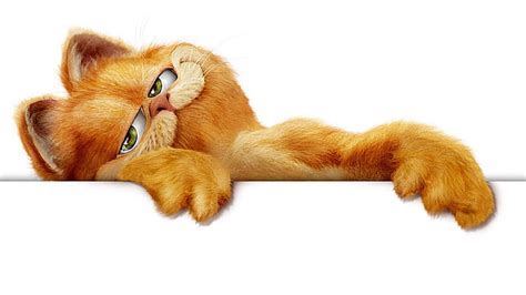 HD wallpaper: garfield | Wallpaper Flare