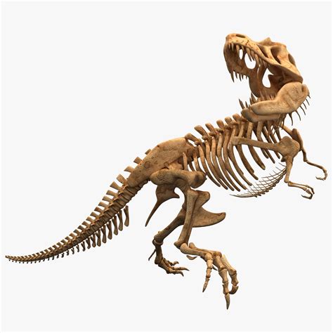 an image of a dinosaur skeleton that is in the air