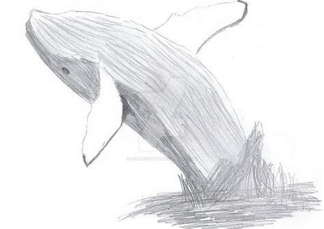 Breaching Whale 1 by oceanicguppy on DeviantArt